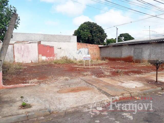 #733 - Terreno para Locação em Arapongas - PR - 2