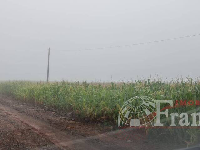 #919 - Sítio para Venda em Arapongas - PR - 2
