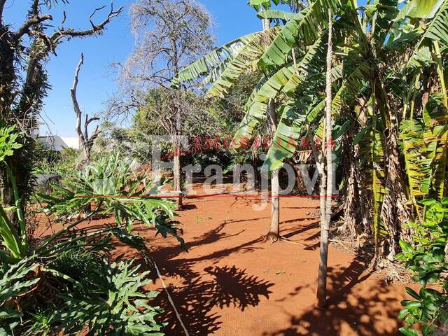 Casa para Venda em Arapongas - 5