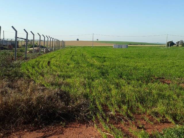 #1068 - Terreno para Venda em Arapongas - PR - 1