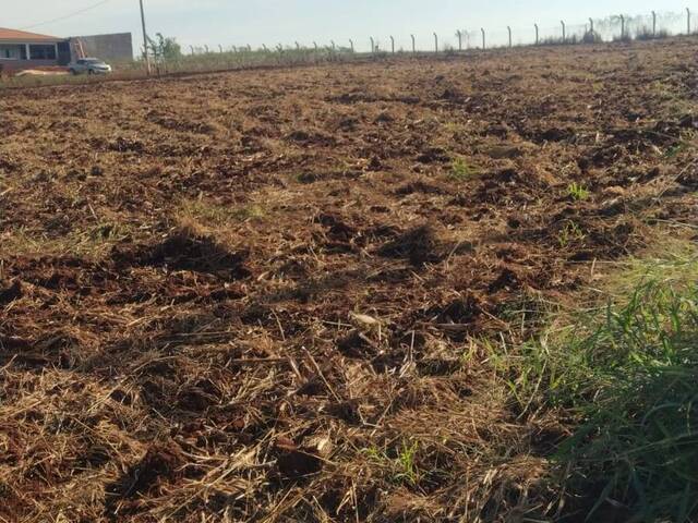 #2223 - Sítio para Venda em Apucarana - PR - 2