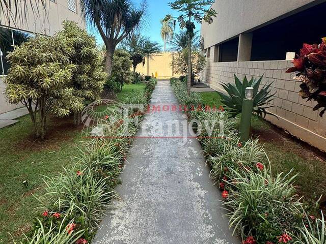 Apartamento para Venda em Arapongas - 4