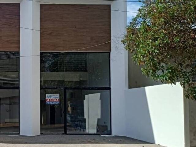 #2778 - Sala para Locação em Arapongas - PR - 1