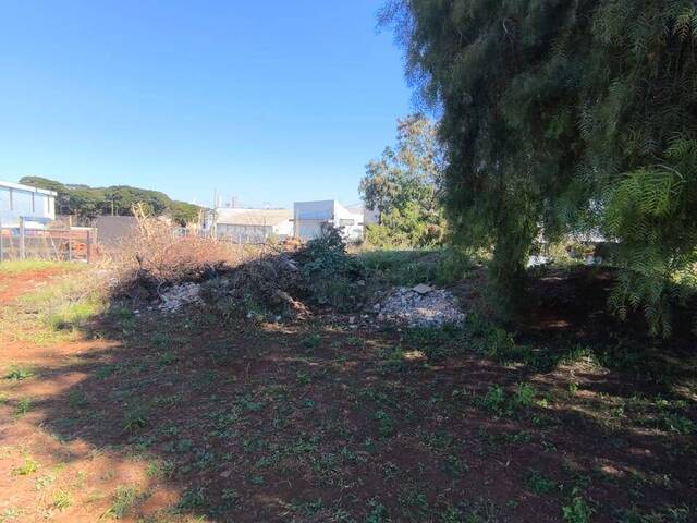 #2832 - Área para Venda em Arapongas - PR - 3