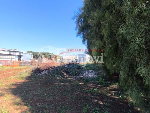 Área para Venda em Arapongas - 4