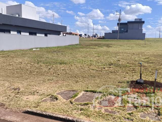 #2865 - Área para Venda em Arapongas - PR - 1