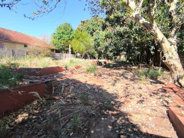 #2947 - Área para Venda em Arapongas - PR - 3