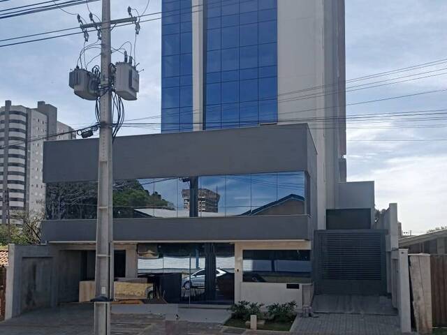 #2979 - Sala para Locação em Arapongas - PR - 1