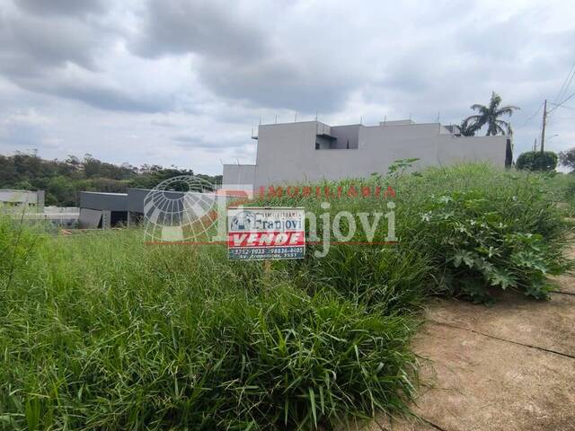 #3028 - Área para Venda em Arapongas - PR - 1