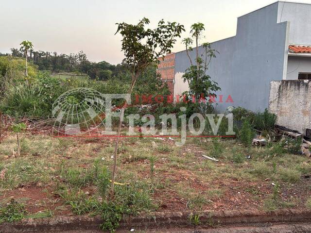 #3029 - Área para Venda em Arapongas - PR - 1