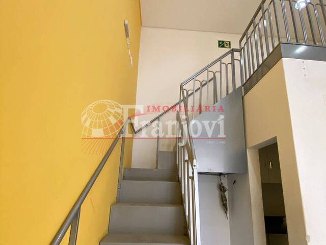 Sala para Locação em Arapongas - 4