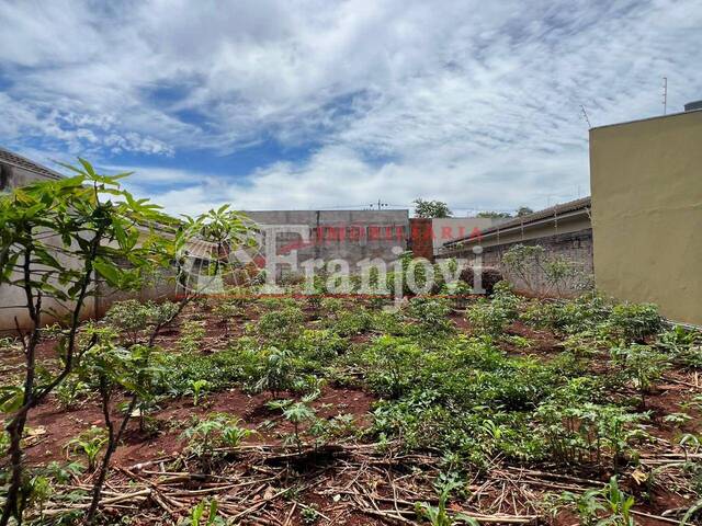 #3037 - Área para Venda em Arapongas - PR - 3