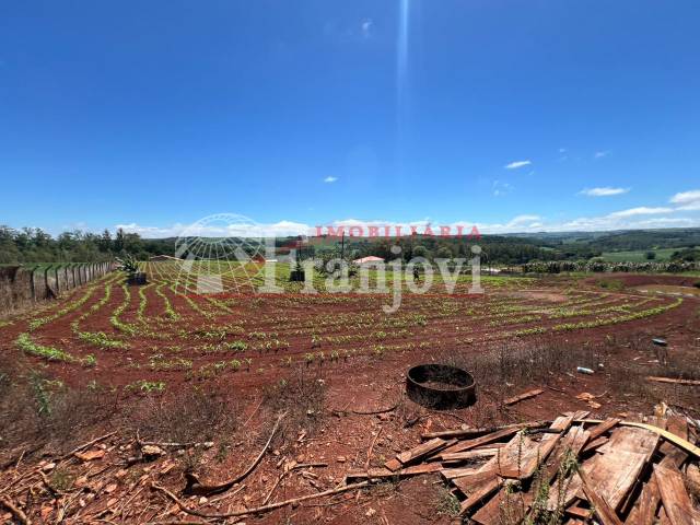 #3093 - Chácara para Venda em Apucarana - PR - 2