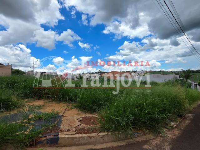 Área para Venda em Arapongas - 4