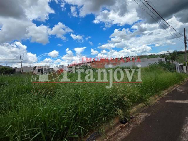 #3097 - Área para Venda em Arapongas - PR - 3