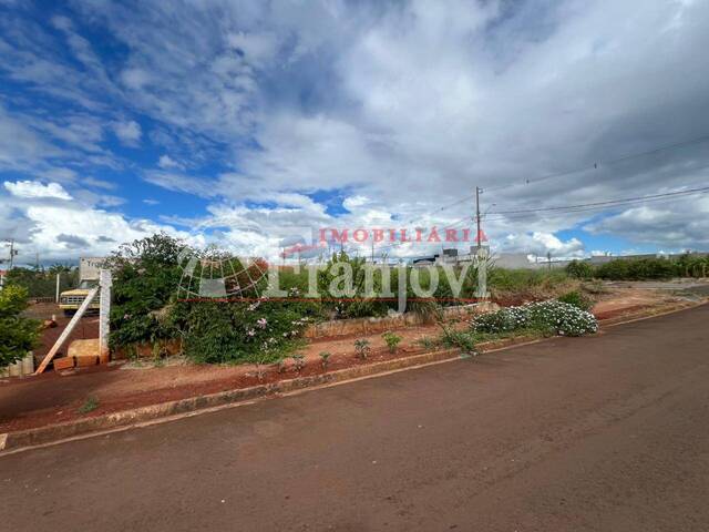 #3161 - Área para Venda em Arapongas - PR - 2