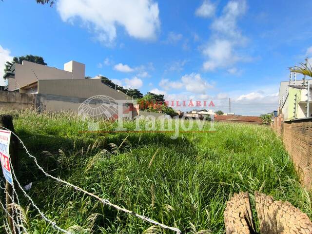 #3213 - Área para Venda em Arapongas - PR - 3