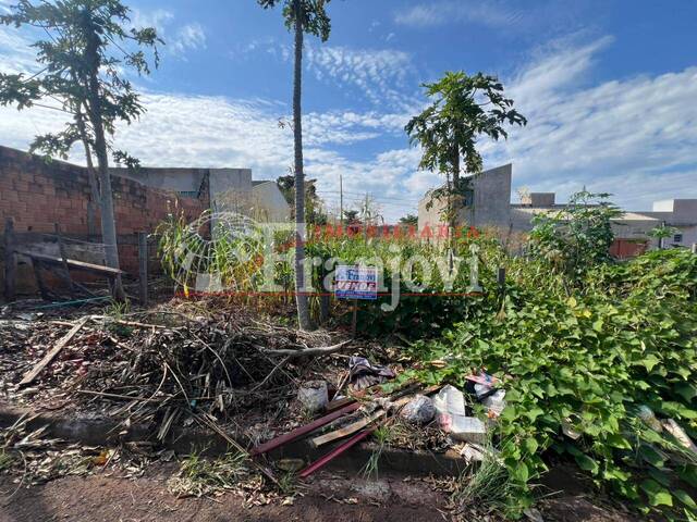 #3306 - Área para Venda em Arapongas - PR - 3
