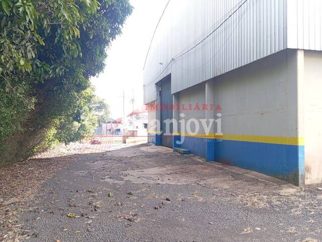 Barracão para Locação em Arapongas - 5