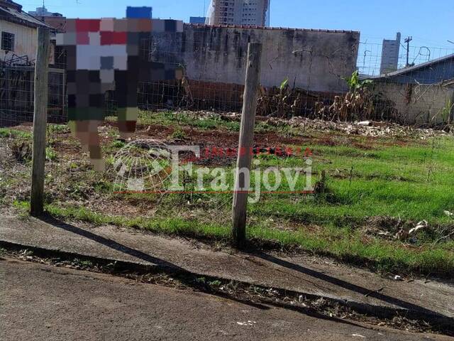 Venda em Vila São João - Arapongas