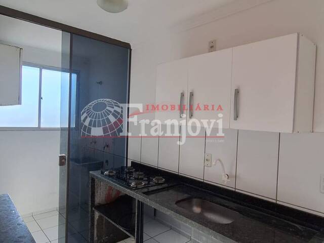 Apartamento para Locação em Arapongas - 5