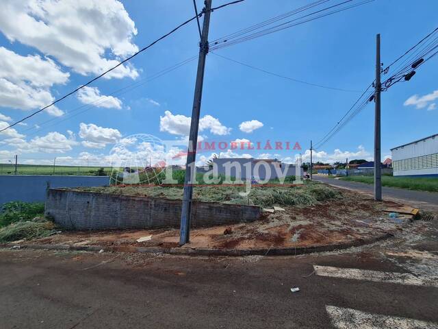 Área para Venda em Arapongas - 3