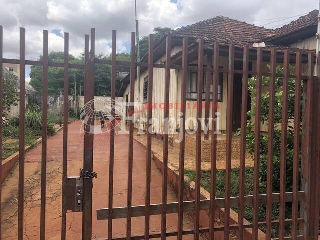 Terreno para Venda em Arapongas - 4