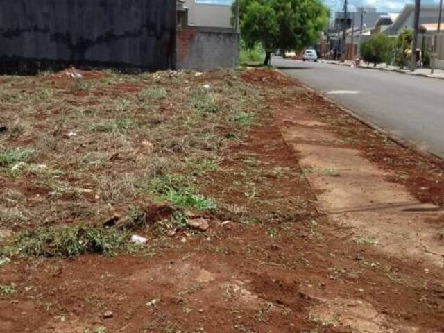 #137 - Terreno para Venda em Arapongas - PR - 3