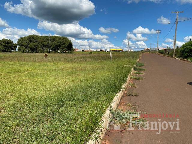 #163 - Terreno para Venda em Sabáudia - PR - 3